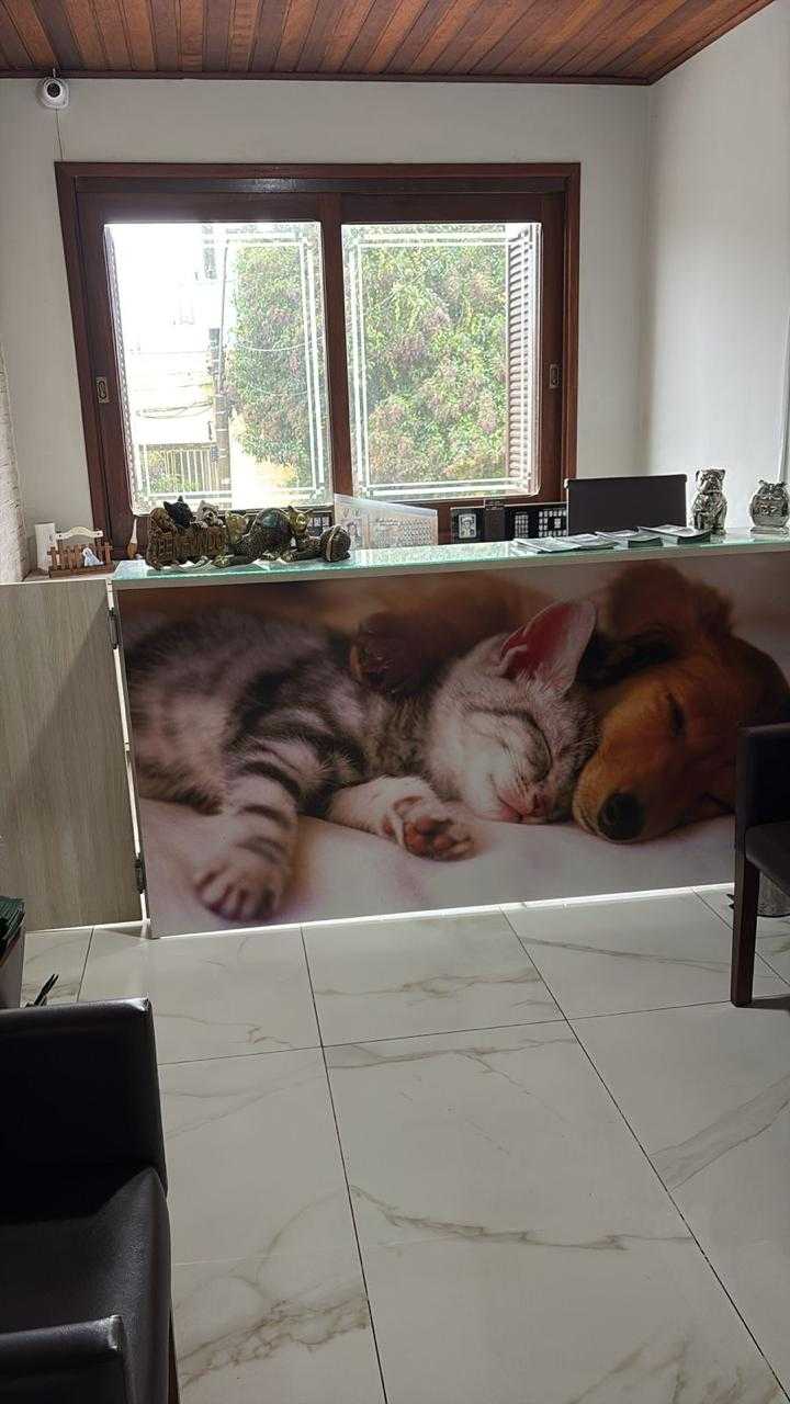 Foto da Galeria