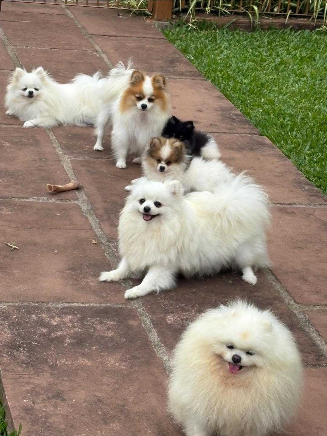 Foto da Galeria