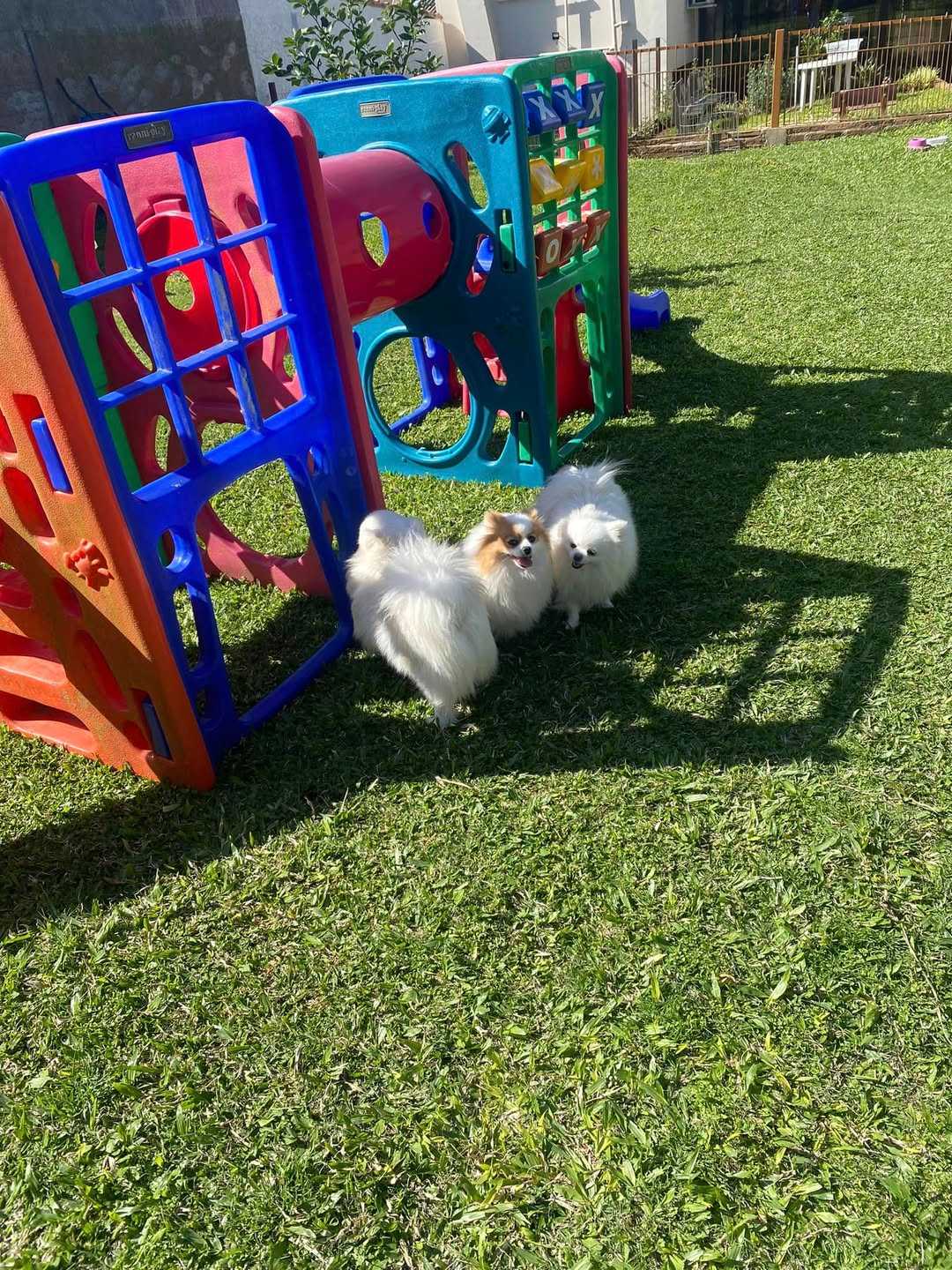 Foto da Galeria