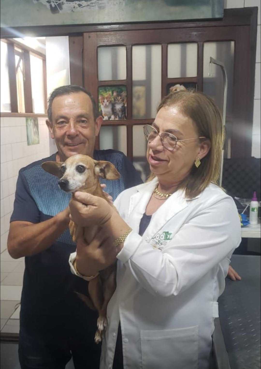 Foto da Galeria
