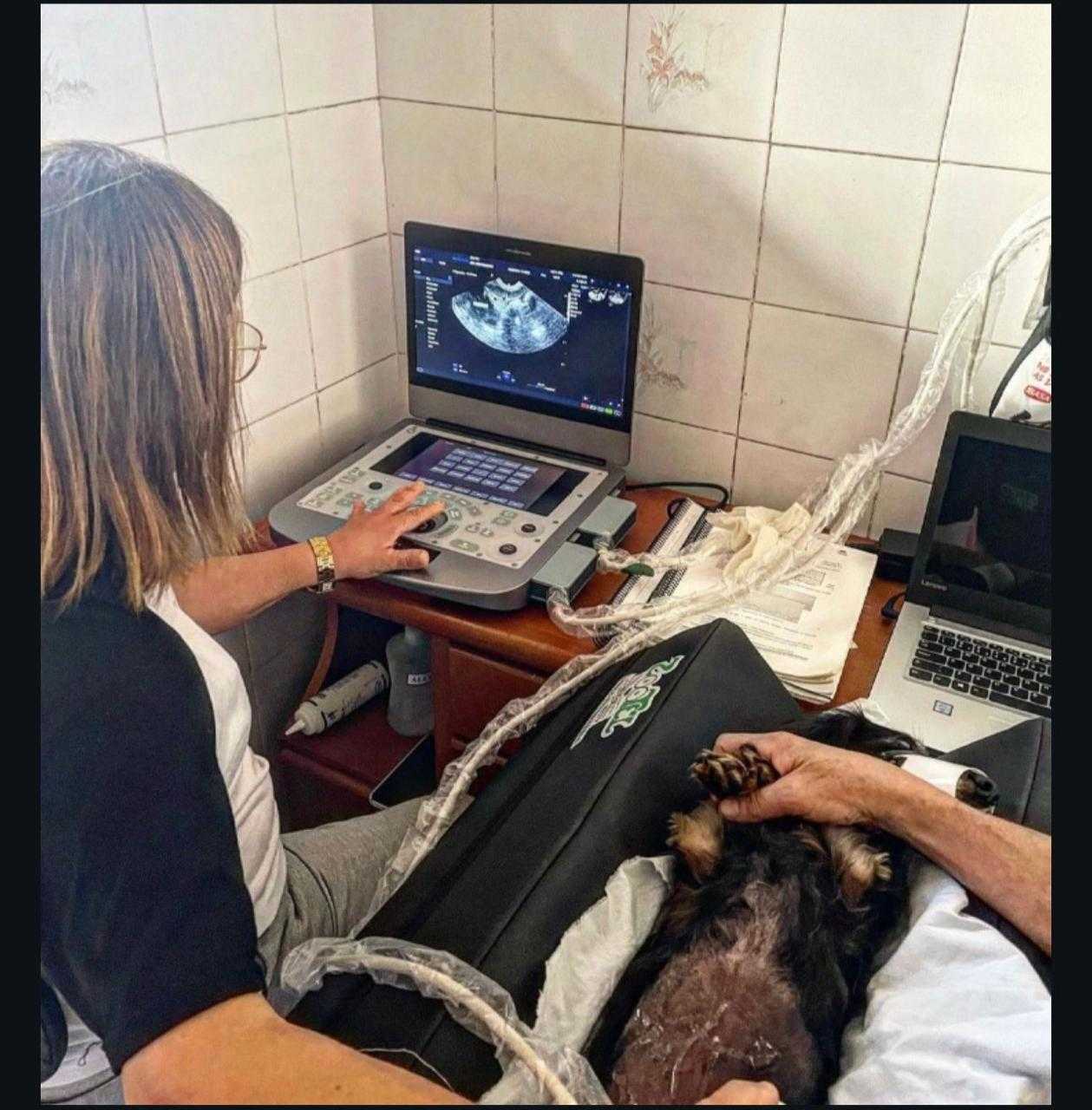 Foto da Galeria